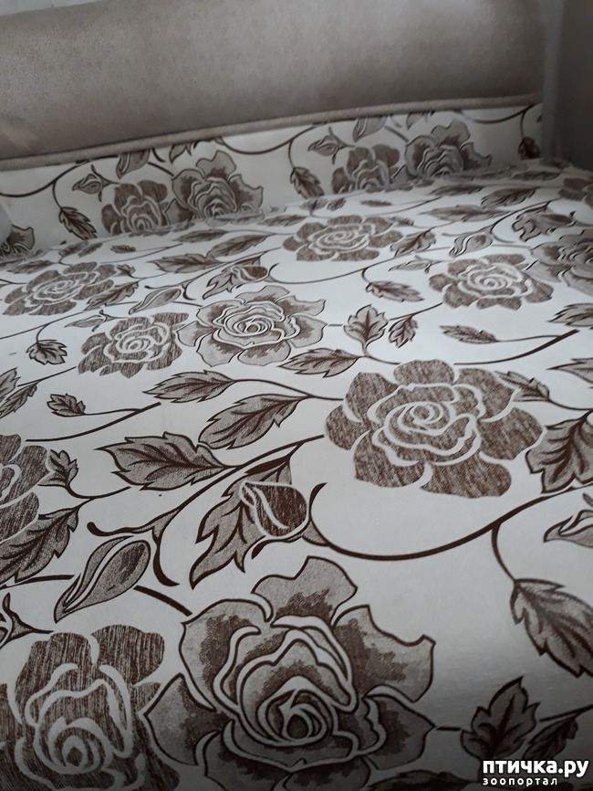 ���� 3: � ���� 