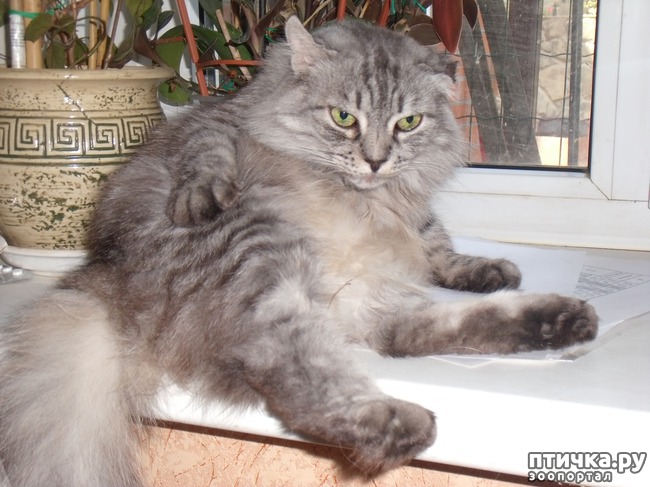 ���� 11: � ���� 