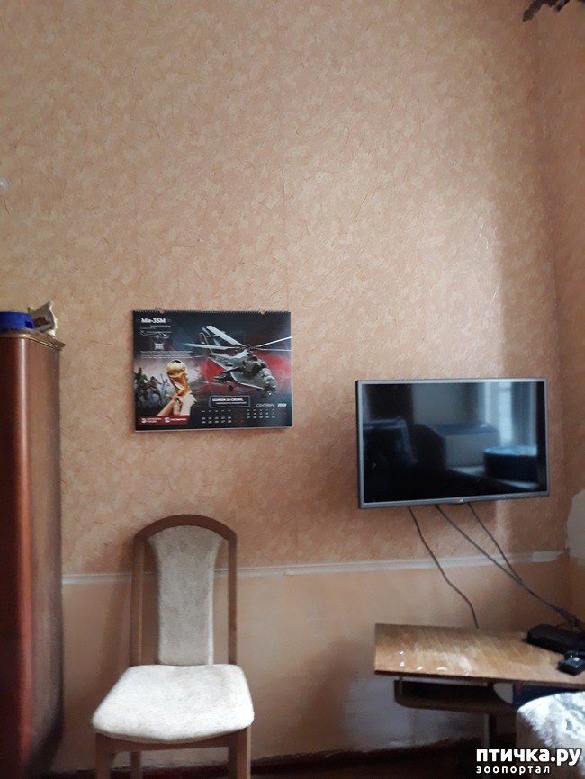 ���� 4: � ���� 