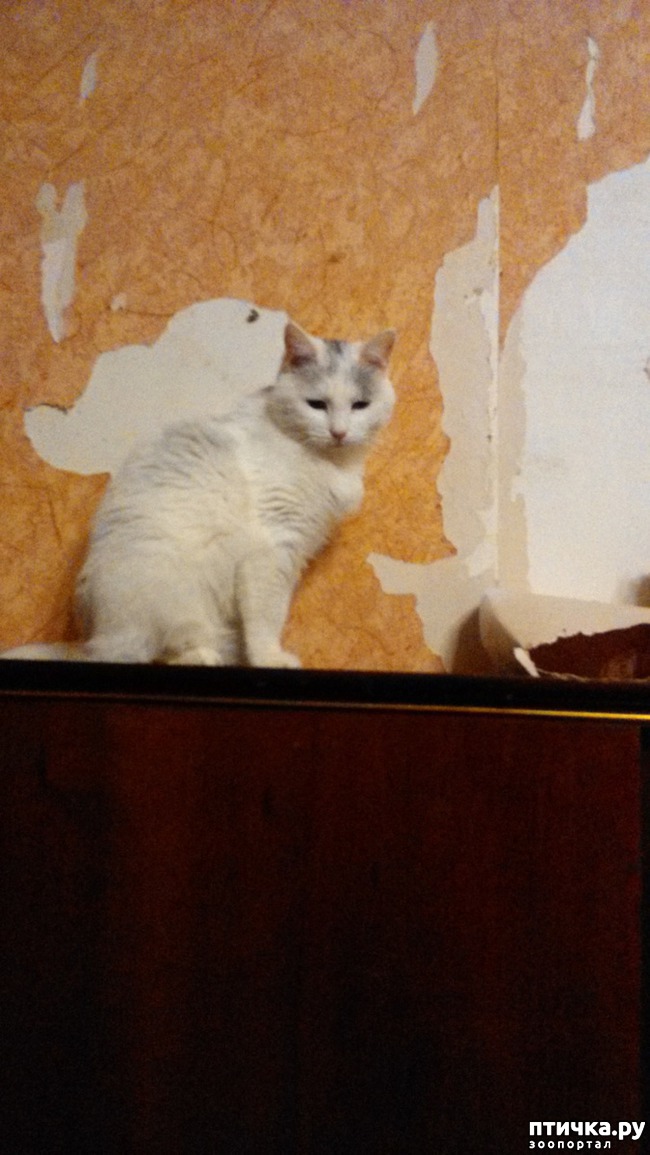 ���� 5: � ���� 