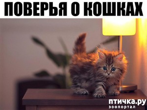 ����: ������� � ������