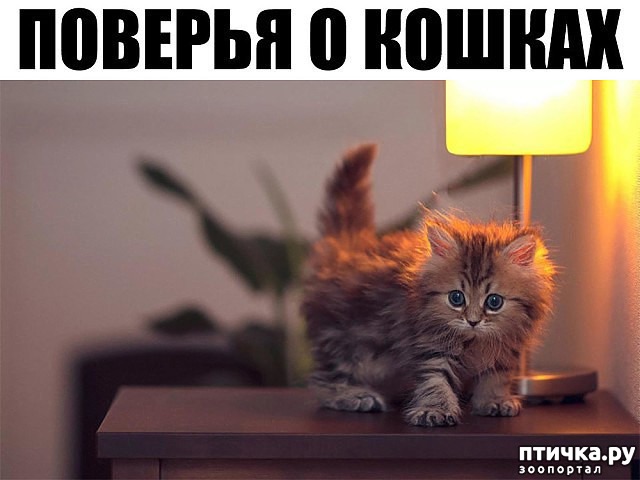 ���� 1: ������� � ������