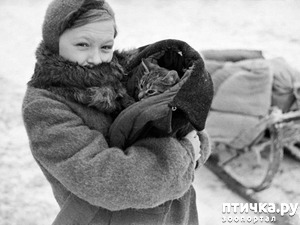 ����: ��� ������� ������ - ����� ���������� ����������