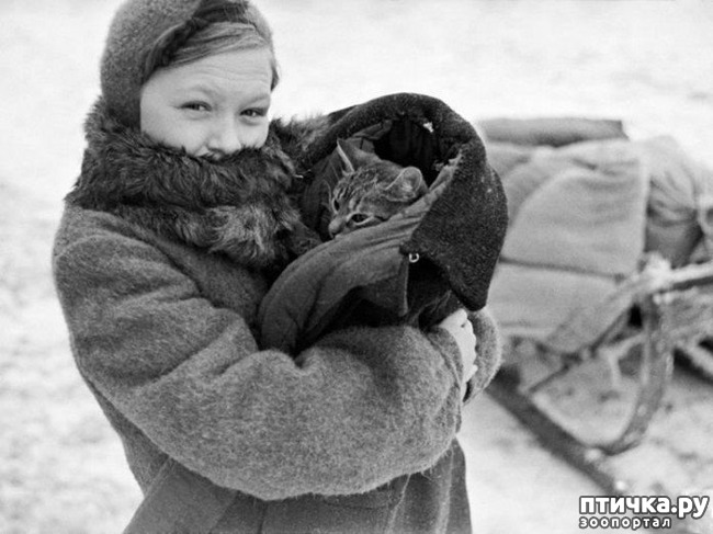 ���� 1: ��� ������� ������ - ����� ���������� ����������