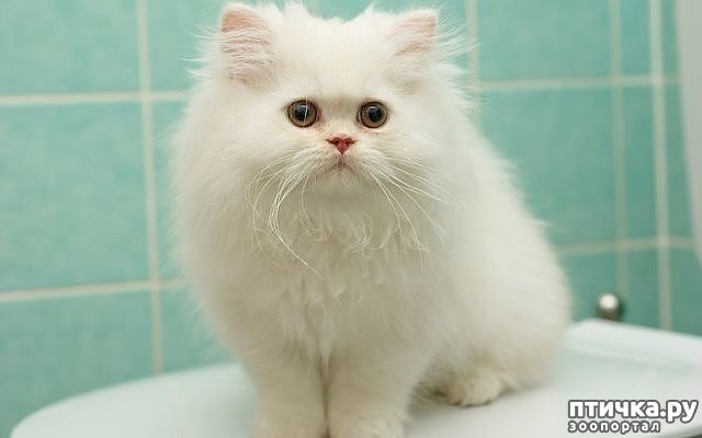 ���� 2: ������� � ������