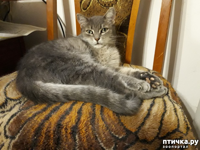 ���� 6: � ���� 