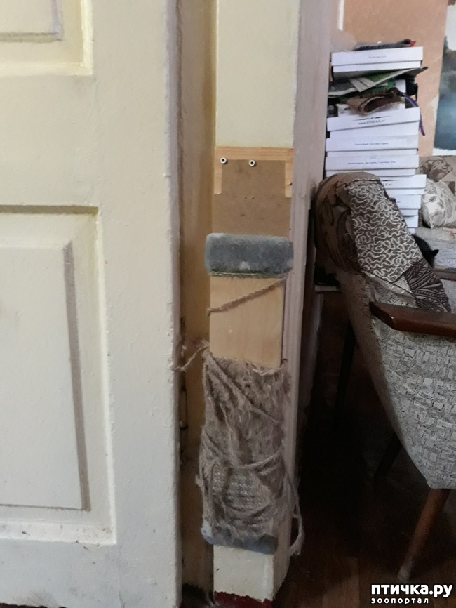 ���� 7: � ���� 