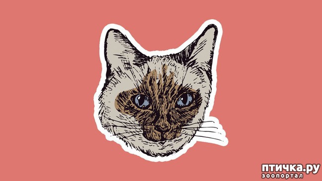 ���� 8: 8 ��������, ����� ��� ���� �������� ����� ������������� �����������