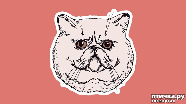 ���� 9: 8 ��������, ����� ��� ���� �������� ����� ������������� �����������