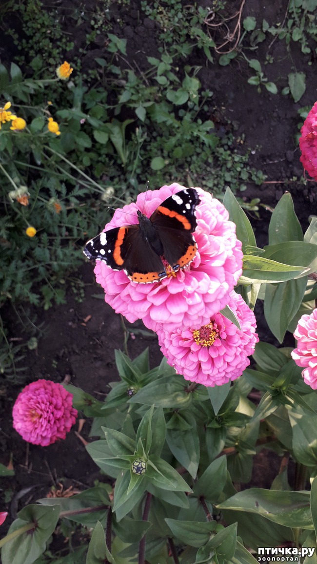 ���� 1: ��������������.