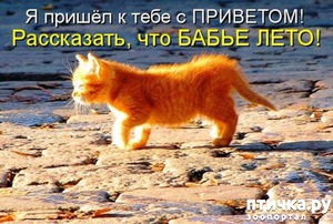 ����: ����������� �������!