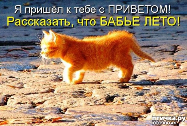 ���� 1: ����������� �������!