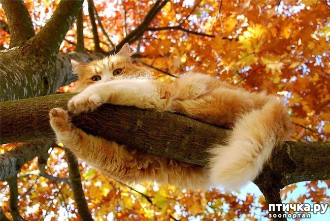 ���� 5: ����������� �������!