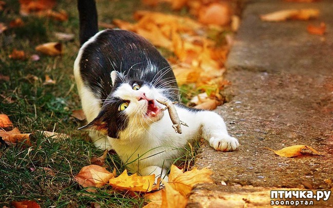 ���� 6: ����������� �������!