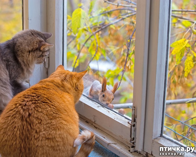 ���� 7: ����������� �������!