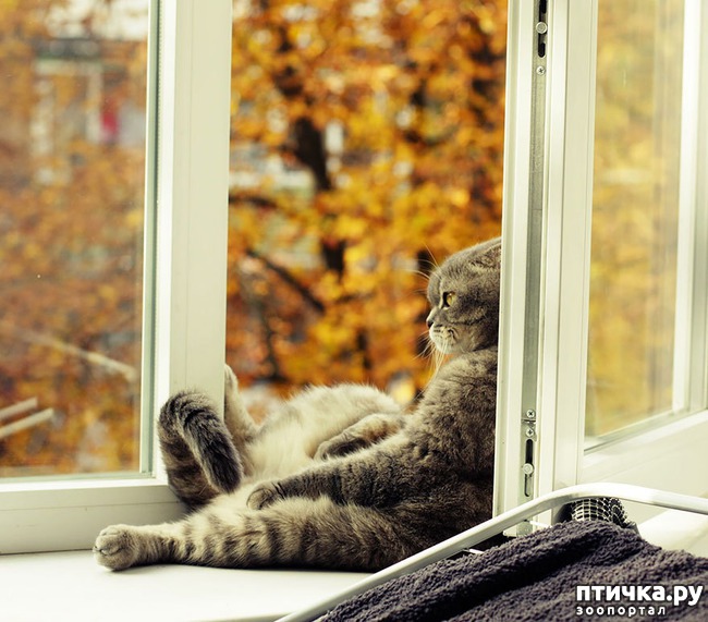 ���� 9: ����������� �������!