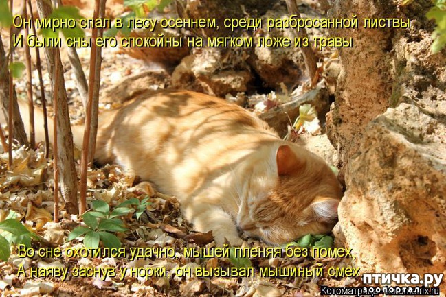 ���� 10: ����������� �������!