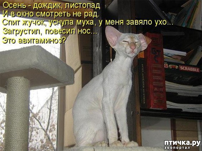 ���� 11: ����������� �������!