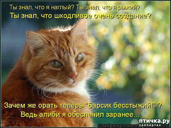 ���� 12: ����������� �������!