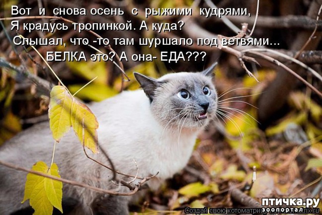 ���� 13: ����������� �������!