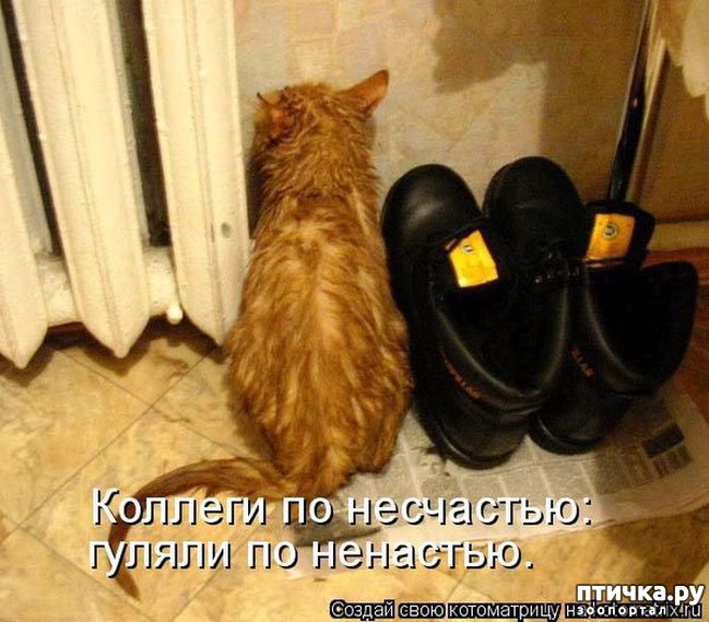 ���� 14: ����������� �������!