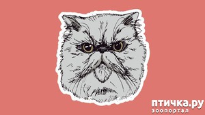 ����: 8 ��������, ����� ��� ���� �������� ����� ������������� �����������