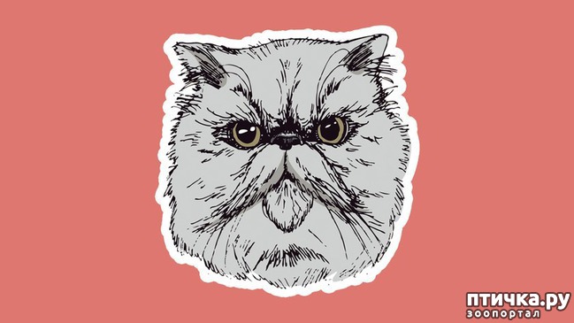 ���� 1: 8 ��������, ����� ��� ���� �������� ����� ������������� �����������