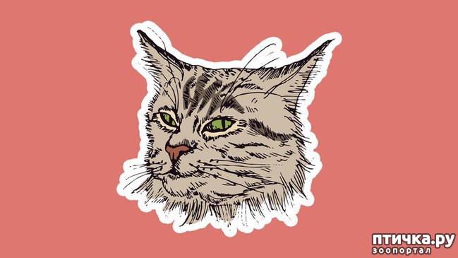 ���� 2: 8 ��������, ����� ��� ���� �������� ����� ������������� �����������