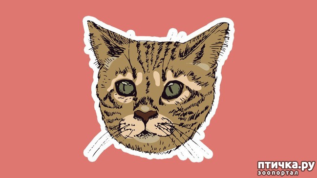 ���� 3: 8 ��������, ����� ��� ���� �������� ����� ������������� �����������