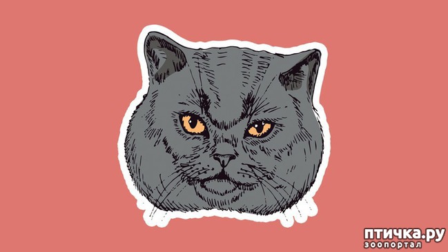 ���� 4: 8 ��������, ����� ��� ���� �������� ����� ������������� �����������