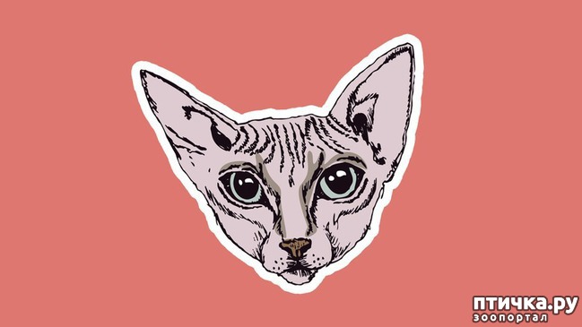 ���� 5: 8 ��������, ����� ��� ���� �������� ����� ������������� �����������