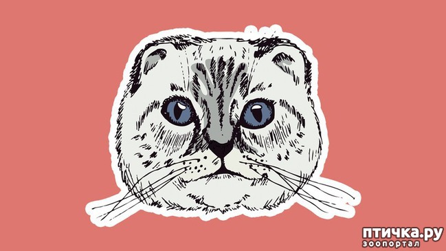 ���� 6: 8 ��������, ����� ��� ���� �������� ����� ������������� �����������