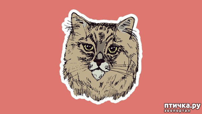 ���� 7: 8 ��������, ����� ��� ���� �������� ����� ������������� �����������