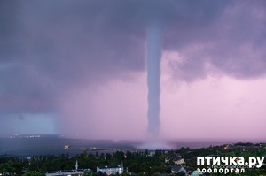 ����: ��� ���� � ������ �����������