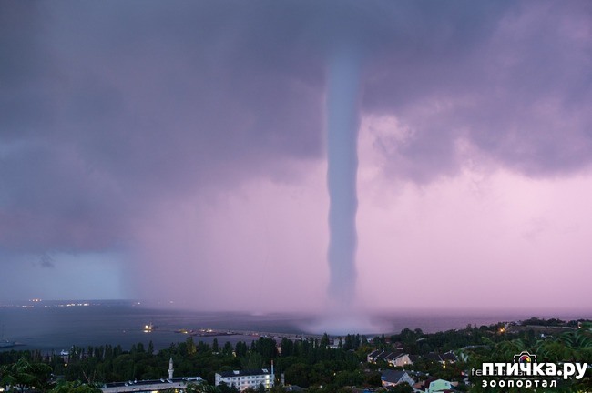 ���� 1: ��� ���� � ������ �����������