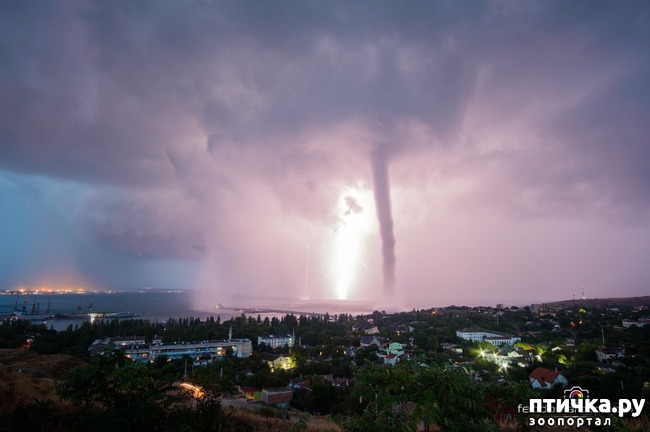 ���� 2: ��� ���� � ������ �����������