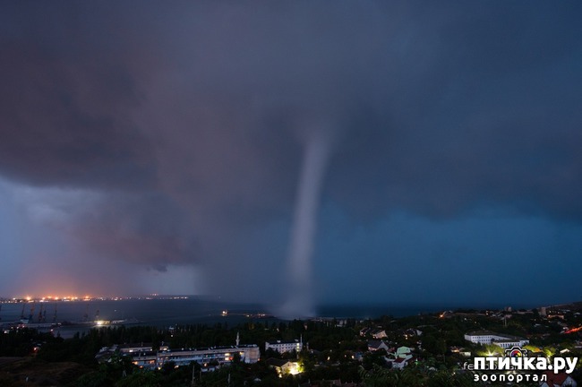 ���� 4: ��� ���� � ������ �����������