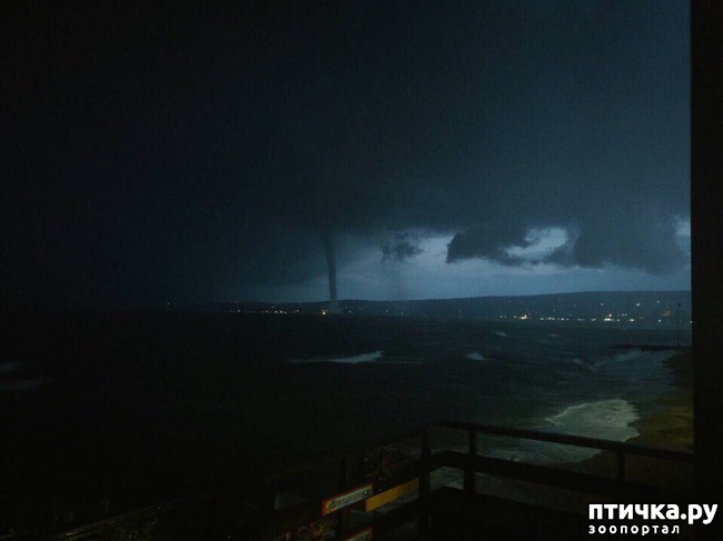 ���� 5: ��� ���� � ������ �����������