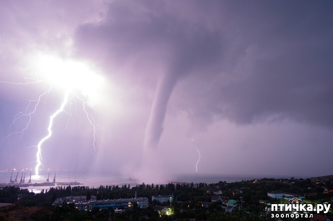 ���� 3: ��� ���� � ������ �����������