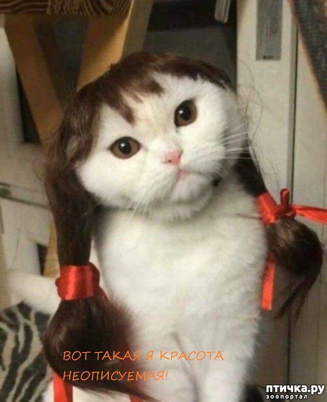 ���� 1: ���� ������ �����)))