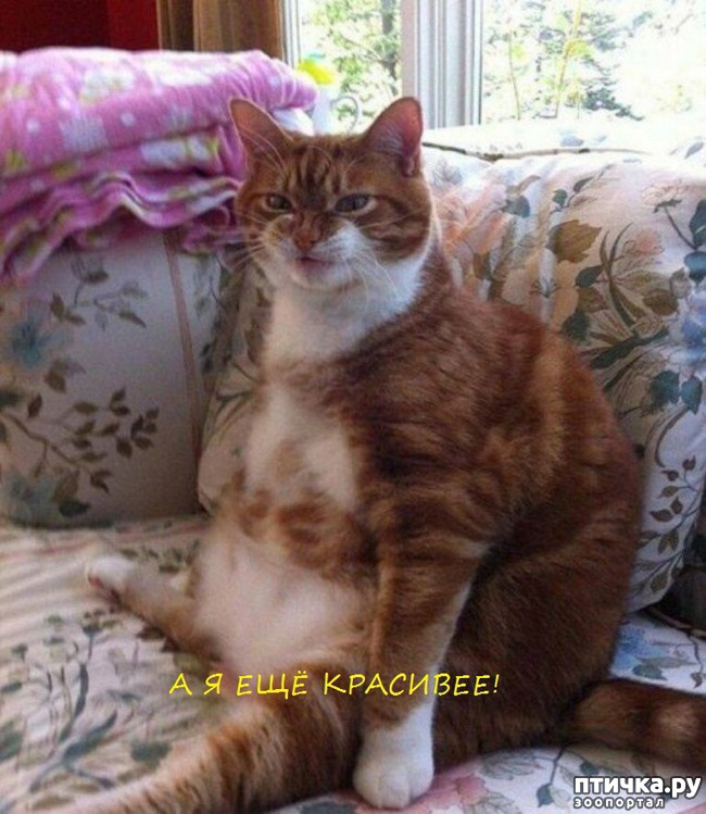 ���� 2: ���� ������ �����)))