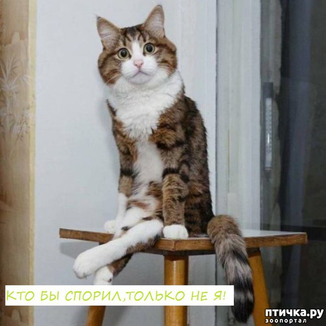 ���� 3: ���� ������ �����)))