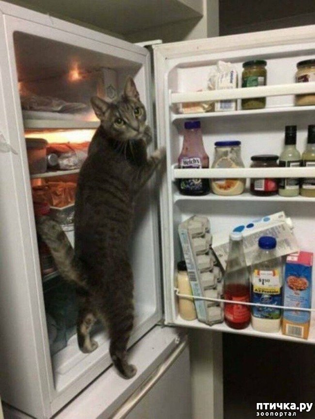 ���� 7: ���� ������ �����)))