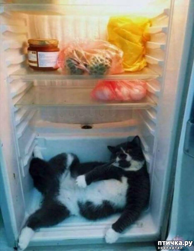 ���� 8: ���� ������ �����)))