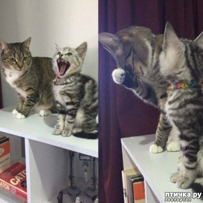 ���� 10: ���� ������ �����)))