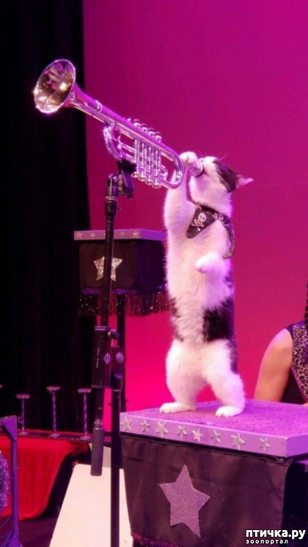 ���� 11: ���� ������ �����)))