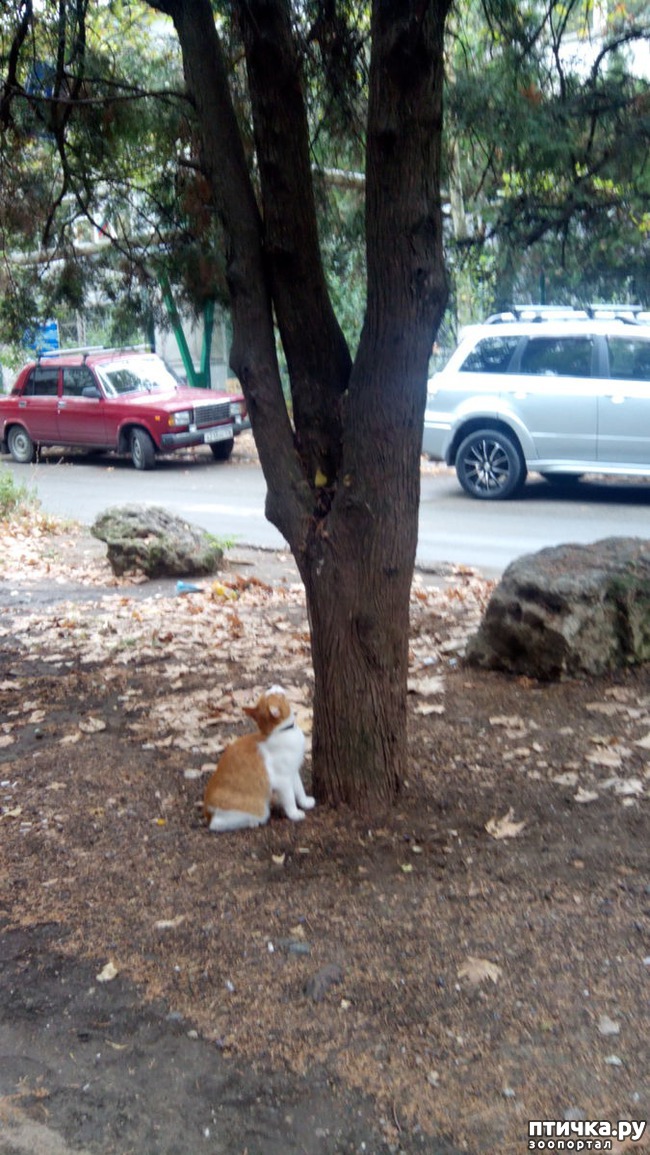 ���� 1: ����� �� ������