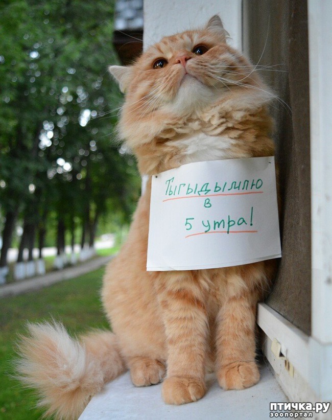 ���� 14: ���� ������ �����)))