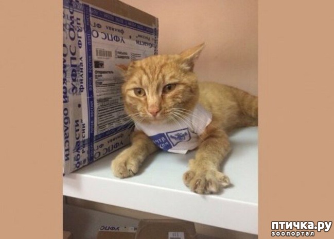 ���� 16: ���� ������ �����)))