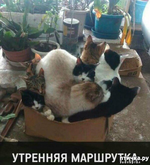 ���� 18: ���� ������ �����)))